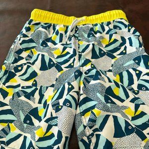 Boys swim trunks Lands' End large fish print
